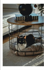Coffee Table with Cat House Modern 2-In-1 Side