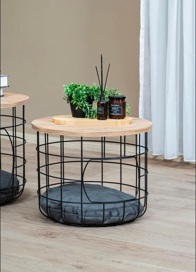 Coffee Table with Cat House Modern 2-In-1 Side