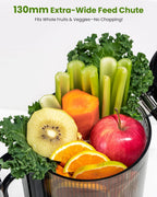 Cold Press Juicer Self-Feeding 250W Machines Hands-Free
