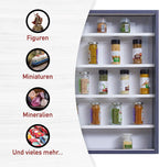 Collector's Display Cabinet Hanging Case Wall Shelf