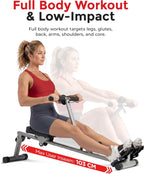 Compact Hydraulic Rower with 12-Level Resistance