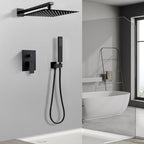 Concealed Shower Set Head and Hose 2 Ways