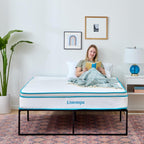 Contemporary Bed Frame Metal with Steel Slats 30
