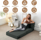 Convertible Folding Sofa Bed-Sleeper Chair with Pillow Modern