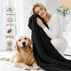 Convertible Sofa Bed Split Floor Boneless Couch