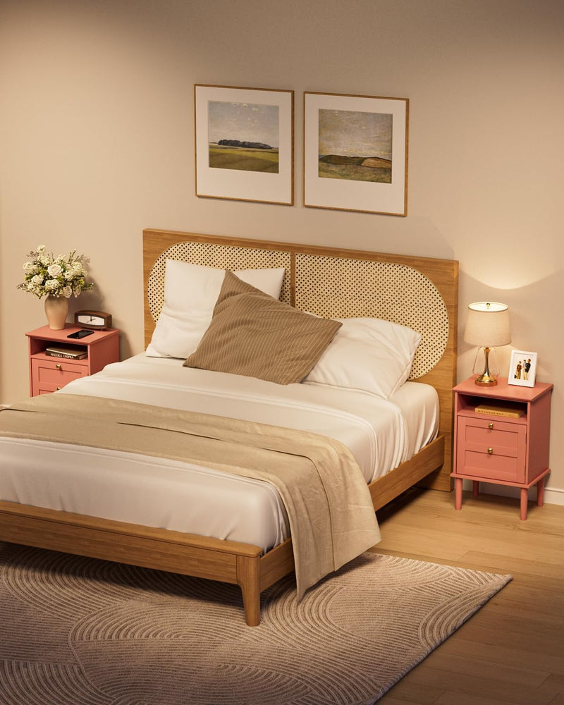 Country Style Bedside Table with Door Shelf