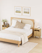 Country Style Bedside Table with Door Shelf