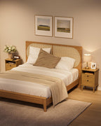 Country Style Bedside Table with Door Shelf