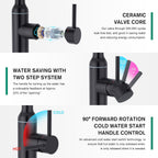 High Arc Kitchen Sink Mixer Tap with Pull