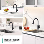 High Arc Kitchen Sink Mixer Tap with Pull