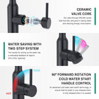 High Arc Kitchen Sink Mixer Tap with Pull