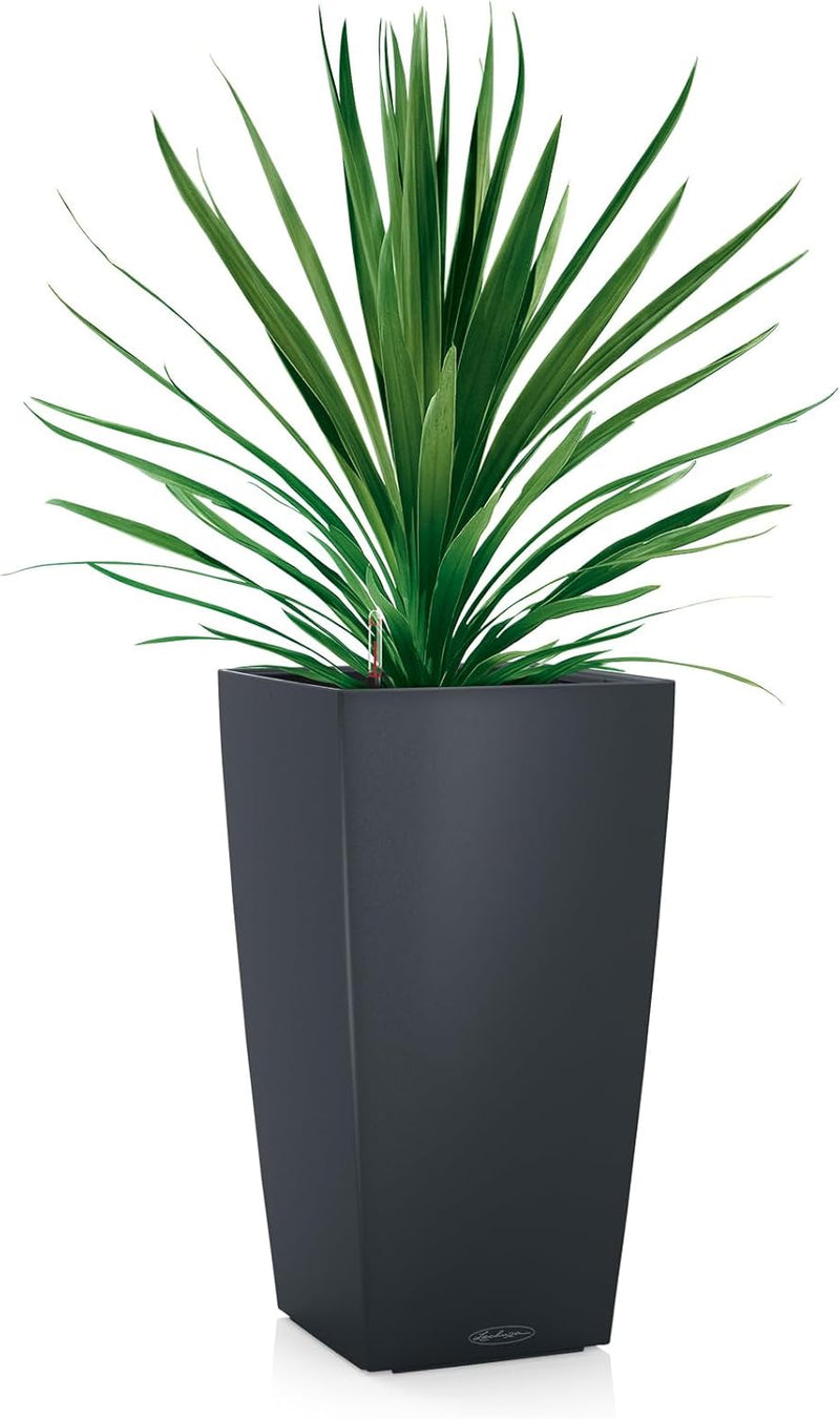 Cubico Colour 40 Self Watering Planter Large Garden (1 Pack)