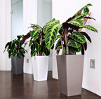 Cubico Colour 40 Self Watering Planter Large Garden