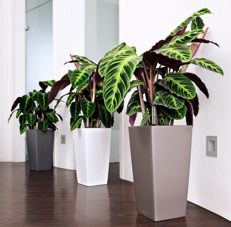 Cubico Colour 40 Self Watering Planter Large Garden (1 Pack)