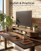 Curved Dual Monitor Stand Riser
