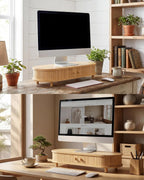 Curved Dual Monitor Stand Riser