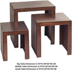 Dakota Mango Nest of 3 Tables Modern Unit