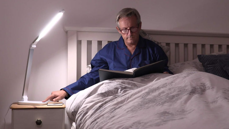 Daylight LED Touch Desk Lamp