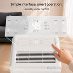 Dehumidifier 25L D Quiet Dehumidifiers for Home