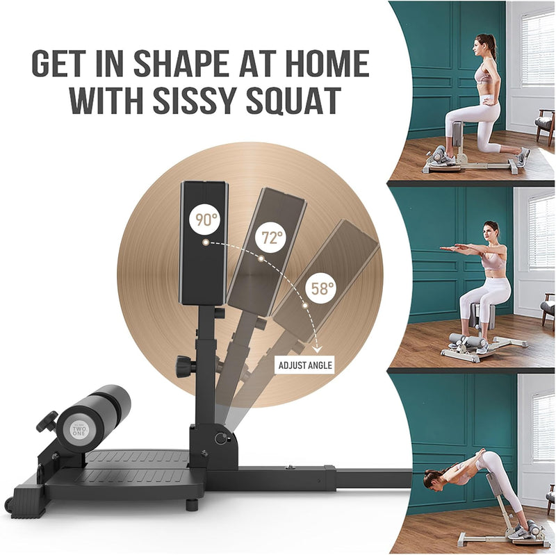 Deluxe Multi-Function Deep Sissy Squat Bench Home Gym