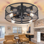 Depuley Caged Ceiling Fan with Light: 20 Inch