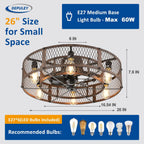 Depuley Caged Ceiling Fan with Light: 20 Inch