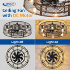 Depuley Caged Ceiling Fan with Light: 20 Inch