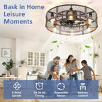Depuley Caged Ceiling Fan with Light: 20 Inch