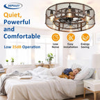 Depuley Caged Ceiling Fan with Light: 20 Inch