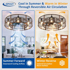 Depuley Caged Ceiling Fan with Light: 20 Inch
