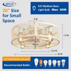 Depuley Caged Ceiling Fan with Light: 20 Inch