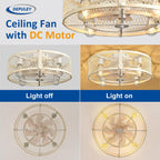 Depuley Caged Ceiling Fan with Light: 20 Inch