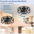 Depuley Caged Ceiling Fan with Light: 20 Inch