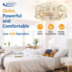 Depuley Caged Ceiling Fan with Light: 20 Inch