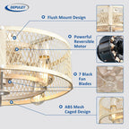 Depuley Caged Ceiling Fan with Light: 20 Inch