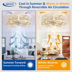 Depuley Caged Ceiling Fan with Light: 20 Inch
