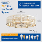 Depuley Caged Ceiling Fan with Light: 20 Inch