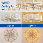 Depuley Caged Ceiling Fan with Light: 20 Inch