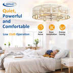 Depuley Caged Ceiling Fan with Light: 20 Inch