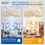 Depuley Caged Ceiling Fan with Light: 20 Inch