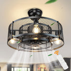 Depuley Caged Ceiling Fan with Light: 20 Inch