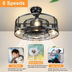 Depuley Caged Ceiling Fan with Light: 20 Inch