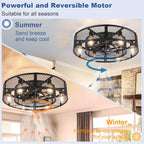 Depuley Caged Ceiling Fan with Light: 20 Inch