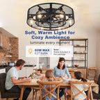 Depuley Caged Ceiling Fan with Light: 20 Inch