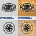 Depuley Caged Ceiling Fan with Light: 20 Inch