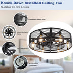 Depuley Caged Ceiling Fan with Light: 20 Inch
