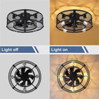 Depuley Caged Ceiling Fan with Light: 20 Inch
