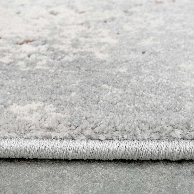 Designer Distressed Classic Floral Medallion Living Room Carpet