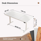 Desk Electric Sit-Stand Office Computer with 2 Memory