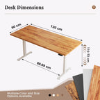 Desk Electric Sit-Stand Office Computer with 2 Memory